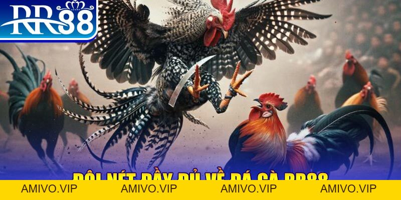 Đá Gà RR88 – Sàn Đấu Thượng Đỉnh Của Chiến Kê Chuyên Nghiệp