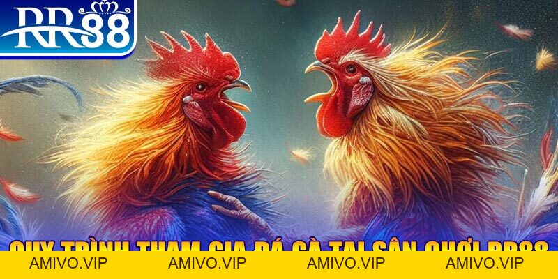 Đá Gà Miền Tây - Gà Chọi RR88 Đỉnh Cao Nhất Việt Nam