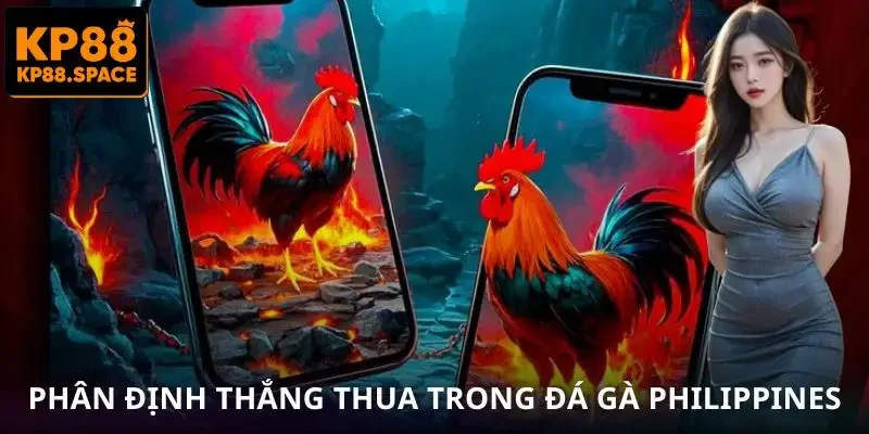 Đá Gà Philippines – Bí Quyết Tăng Tỷ Lệ Thắng Từ KP88