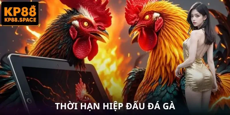 Đá Gà Philippines – Bí Quyết Tăng Tỷ Lệ Thắng Từ KP88