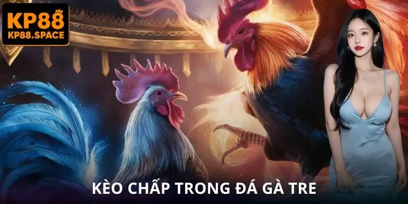 Đá Gà Tre KP88 - Trận Đấu Tốc Độ Nhanh Lợi Nhuận Cực Hấp Dẫn