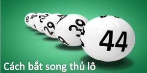 Blog cá cược - Rs88